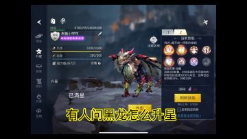 黑龙升星教程-快来养龙吧