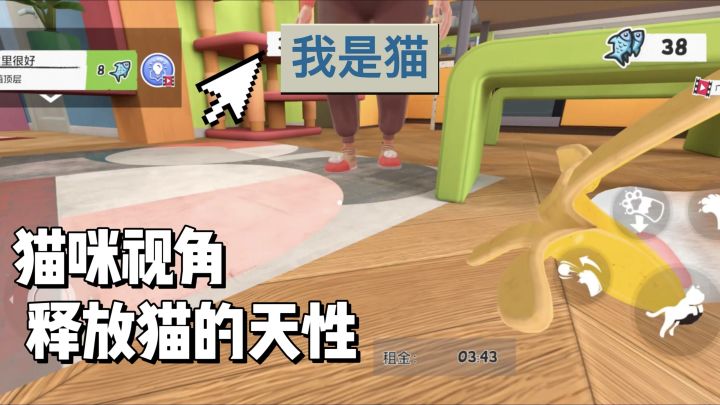 猫咪视角体验当猫的快乐,自由探索房屋,免费无广!截图