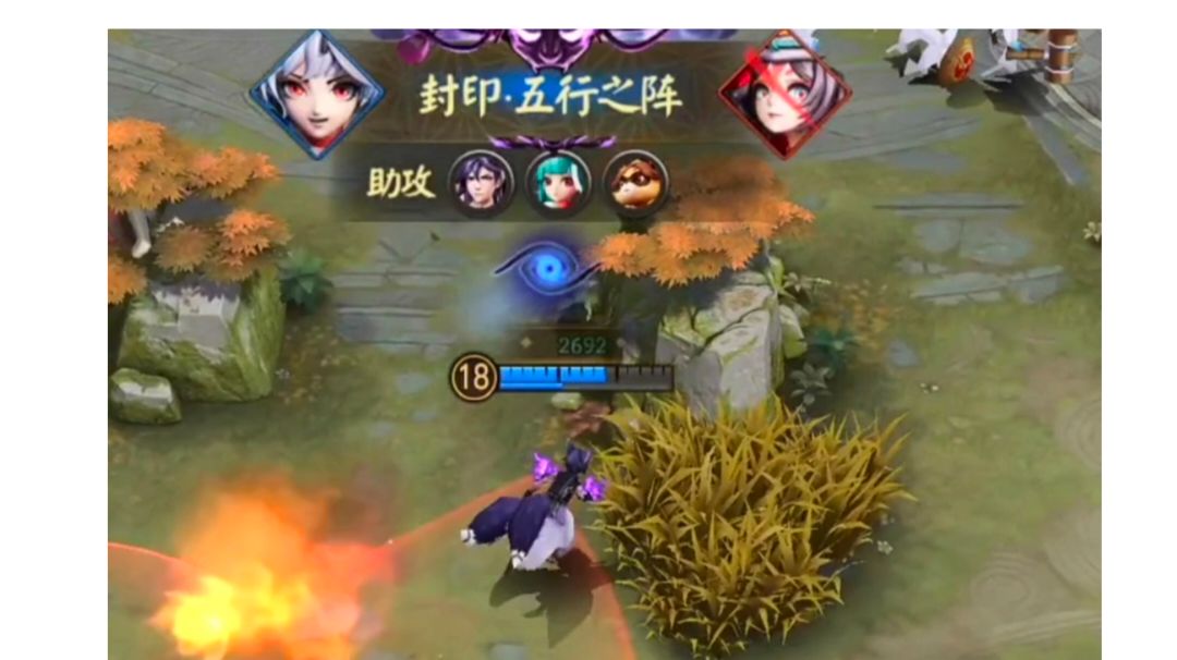 video-3094687