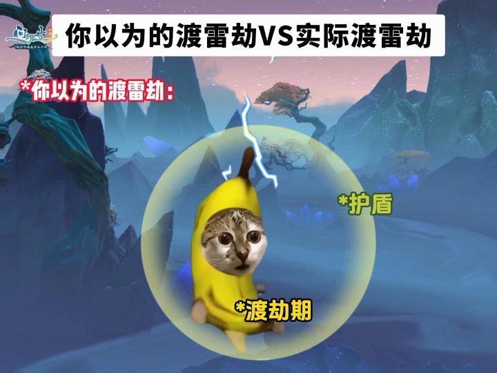 你以为VS实际的渡雷劫截图