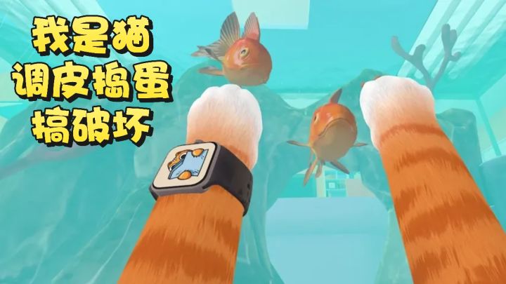 沉浸式的体验当一只拆家小能手的猫❗截图