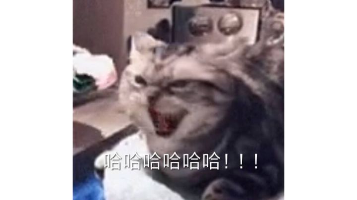 五区萌新过虫母截图