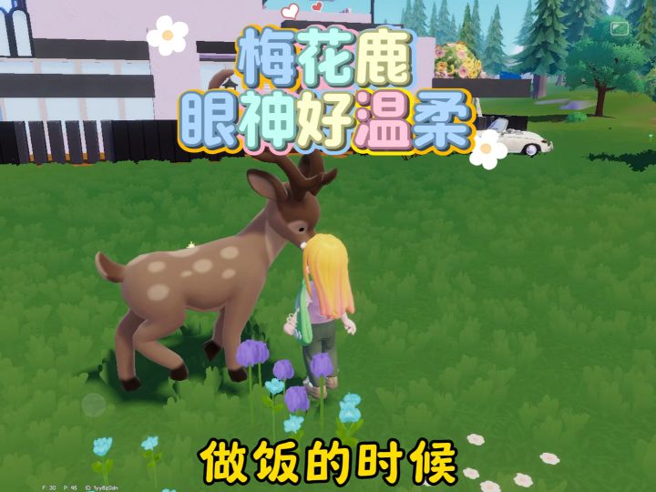 不得不说小镇的动物是真的可爱。该死迷人的小眼神截图