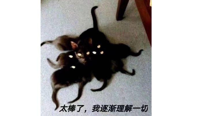 刚入坑,惨遭蹂躏截图