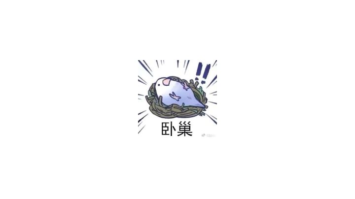 单挑血口(整活)截图