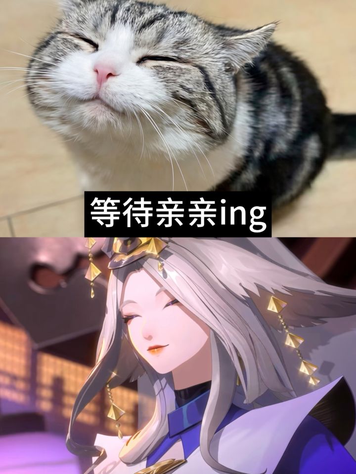 不要因为葛叶是妈妈,就忽略她也是一只狐狸啊!截图