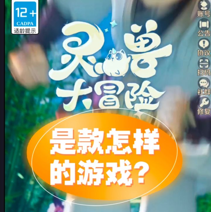 灵兽大冒险是款怎样的游戏?截图