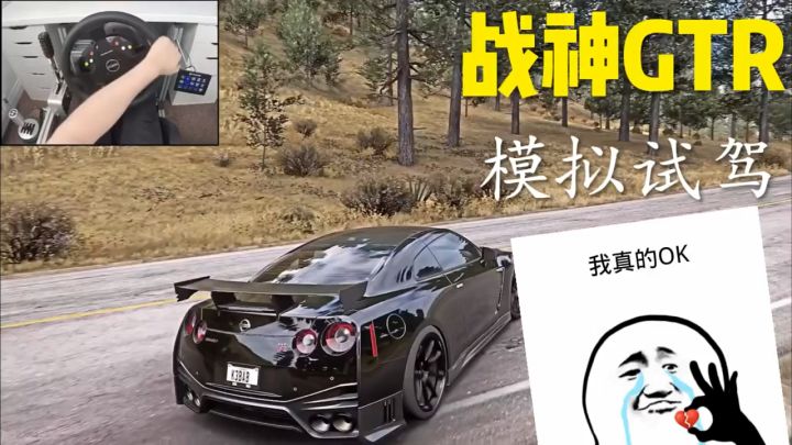 地平线5模拟试驾单机游戏 地平线5截图