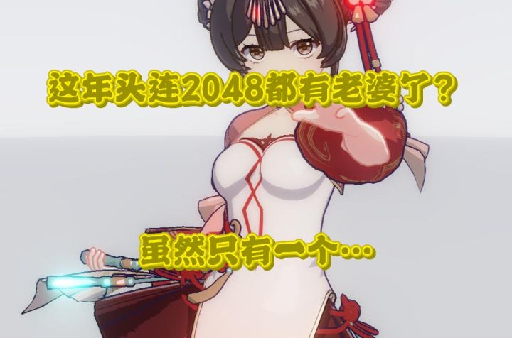 这年头连2048都有老婆了?虽然只有一个…截图