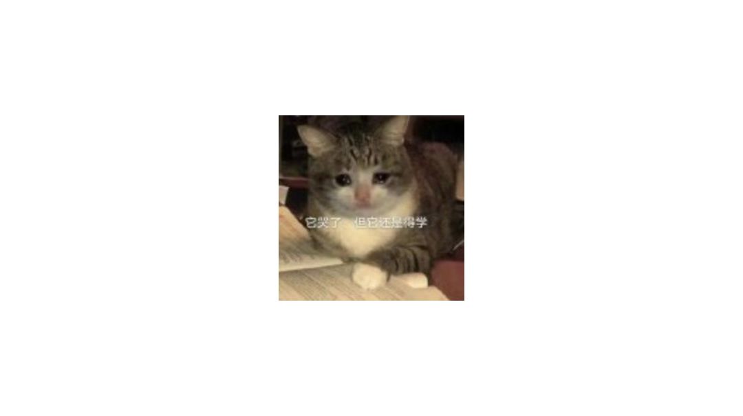 video-3304260