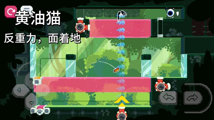 小猫+永动机的组合也太会了,治愈感满满!截图