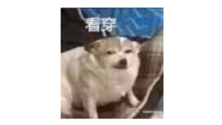 50新卡速递 + 35精英卡包(差一抽保底)截图