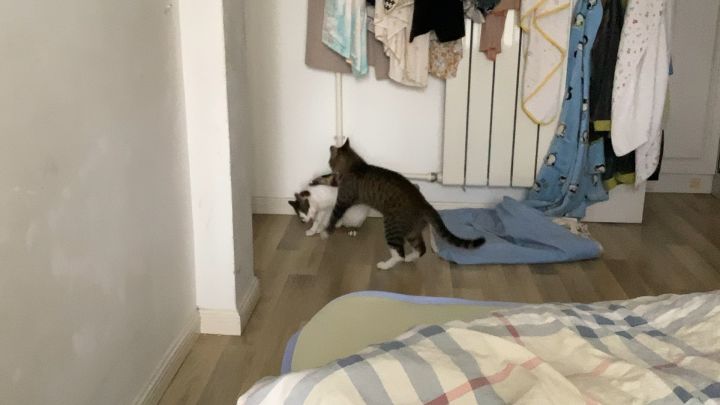 第三次世界大战截图
