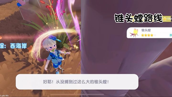 9级雨天捕虫 锥头螳和美丽星花金龟路线截图