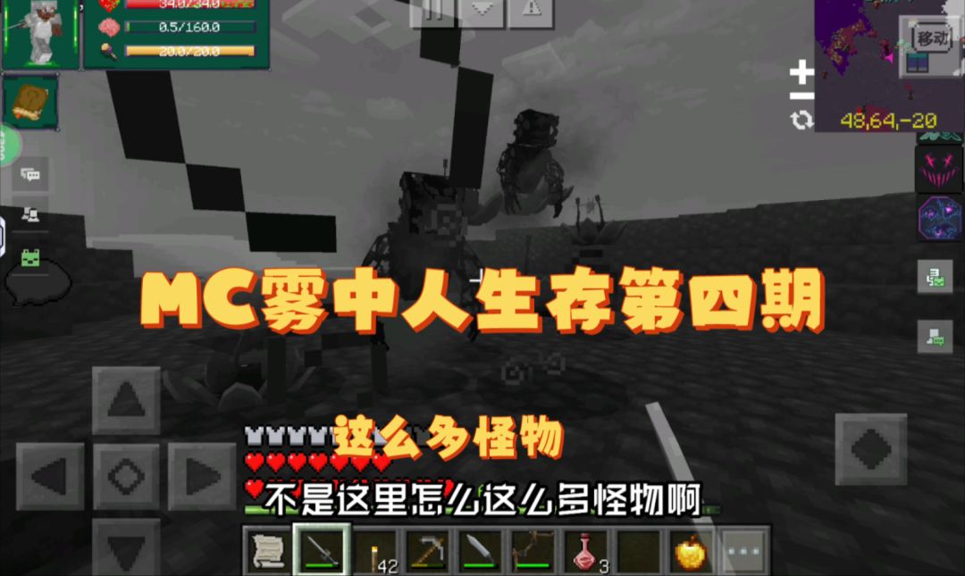 video-4030536