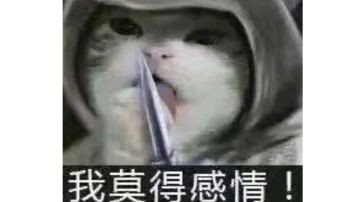 冷血砍王无脑通关，乱刀砍死龙傲天