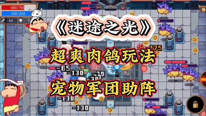宠物军团和无限流派组合,你能驾驭吗?《迷途之光》给你答案!截图