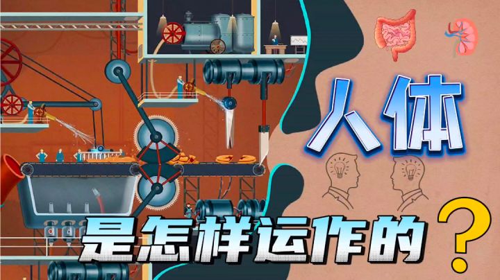 🧠将人体比作巨型的机械工厂➕了解人体是怎样运作的‼️截图