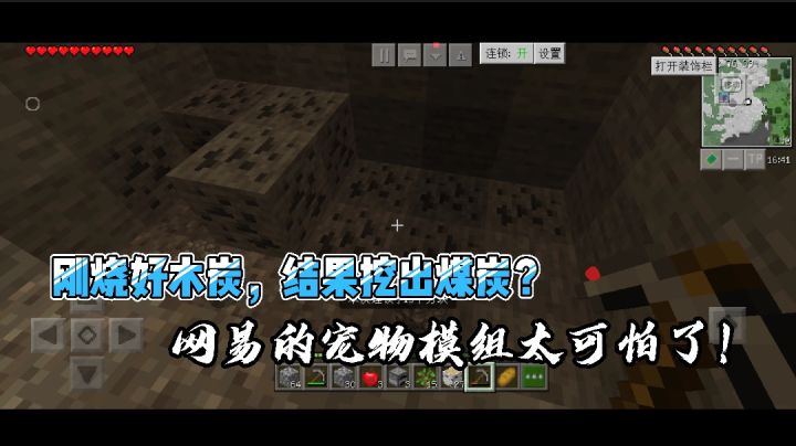 我的世界暮色森林2：网易的宠物模组太可怕了！刚烧木炭挖出煤炭截图