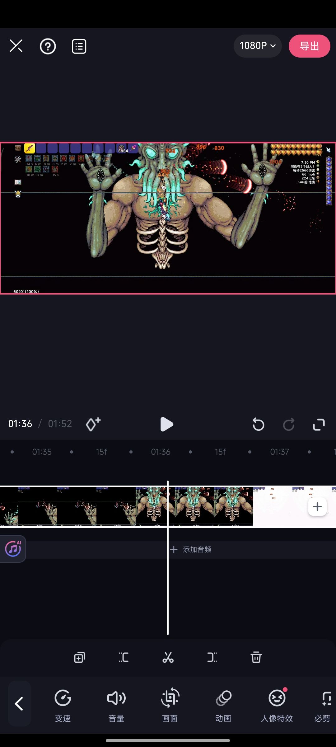 video-4800357