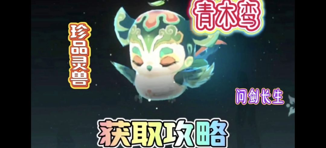 问剑长生：珍品灵兽青木鸾的获取攻略截图