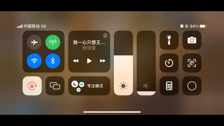 宠物技能描述吃增伤，实测吃伤害加成截图