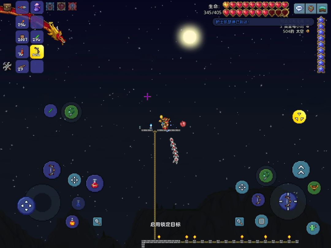 泰拉瑞亚太空走位小白龙截图