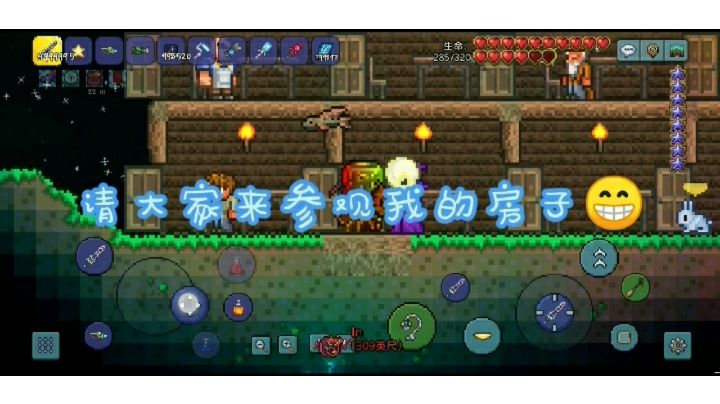 小萌新入游第一天造的小房子截图