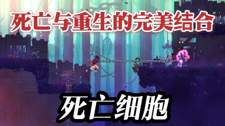 Steam售价80 块!这 Roguelike 神作让我砍得停不下来!截图