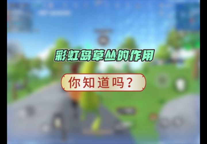 彩虹岛草丛的作用你知道吗?截图