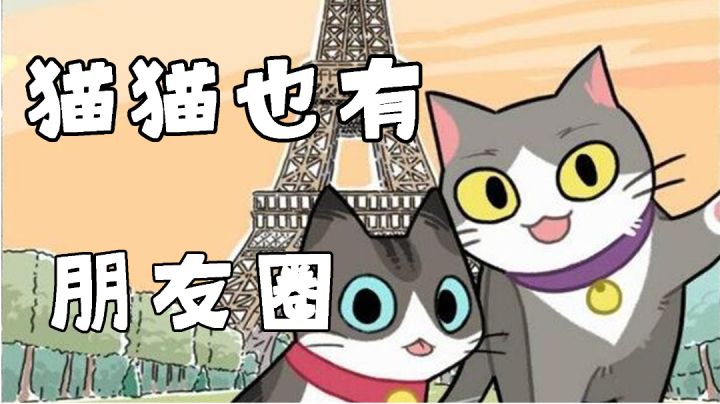 可爱猫猫的朋友圈会是什么样子?#新游观察局#截图