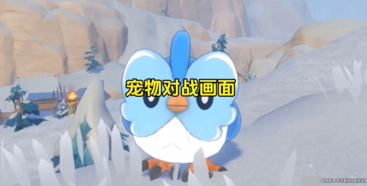 洛克手游宠物对战画面截图