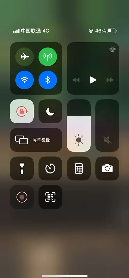 兽王猎挂机史诗3截图