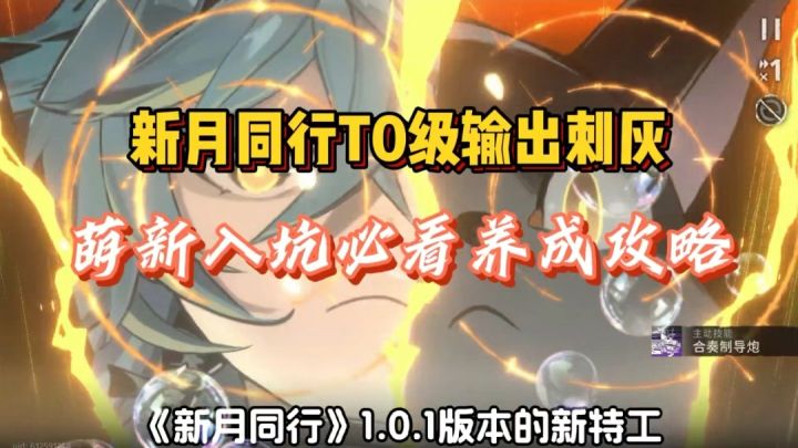 新月同行T0级输出刺灰，萌新入坑必看养成攻略！！截图