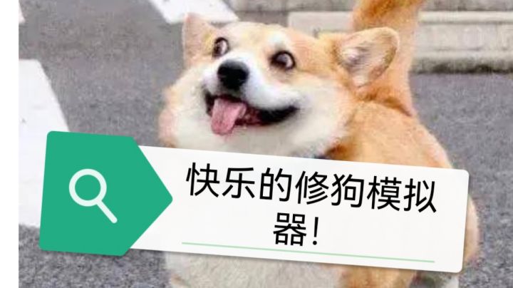 #新游观察局#非常有趣的小狗模拟器截图