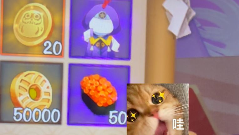 video-5681484