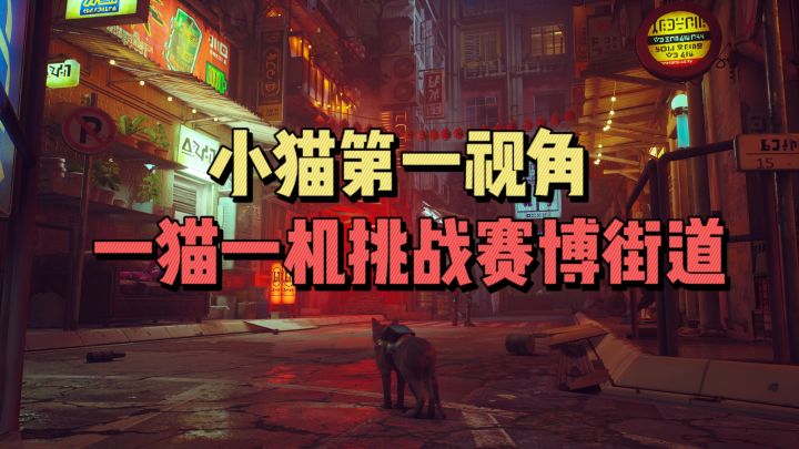 小猫第一视角,一猫一机挑战赛博街道截图