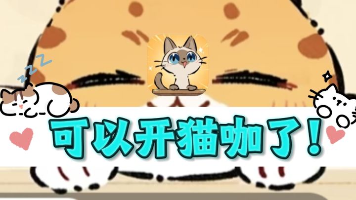 🐈可以开猫咖店了，治愈又解压的模拟经营～截图