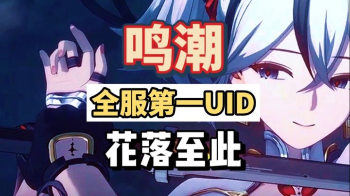 鸣潮全服第一特征码竟,UID100000000花落至此。截图