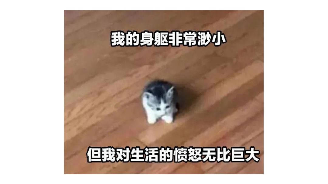 video-3149458