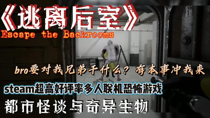 steam超高好评率多人联机恐怖游戏,与朋友在“后室”肆意探索❓截图