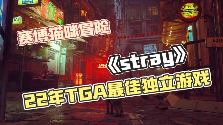 爪尖叩响空街🔥齿轮藏着旧时光💥纸箱缝里,猫咪在冒险❗截图