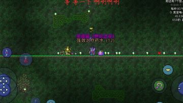 射手流程打ftw世纪之花