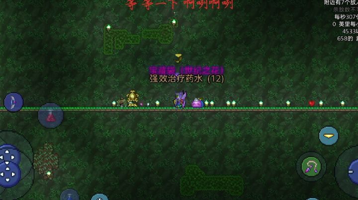 射手流程打ftw世纪之花截图