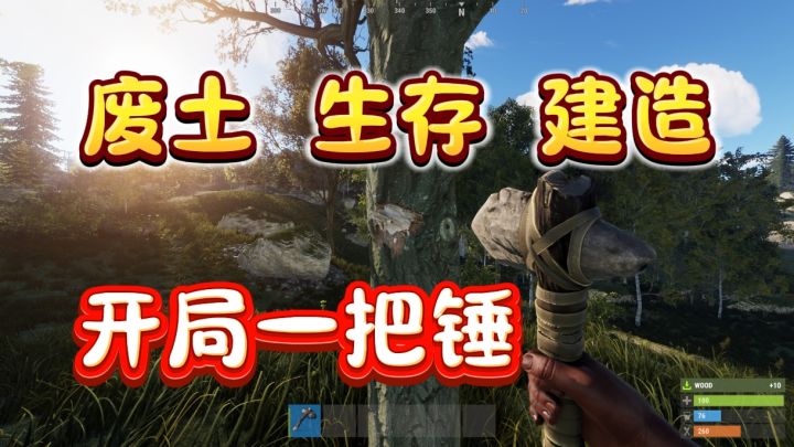rust腐蚀竟然要开启手机端的测试了❗而且消息非常肯定❗截图