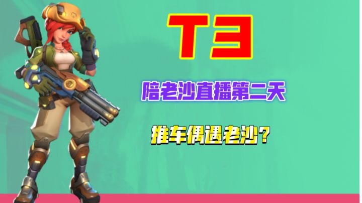 《陪老沙直播的第二天》偶遇老沙，老沙2-6游戏结束截图