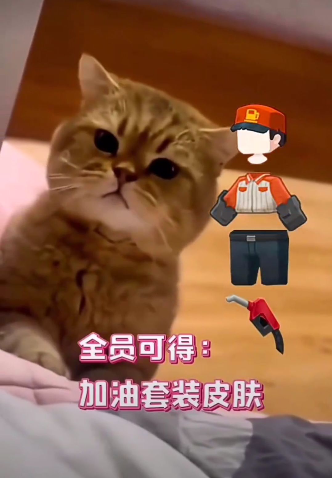 video-4251343