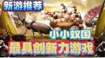 【小小蚁国】地底世界大大帝国，蚂蚁们的王国#小小蚁国 公测#