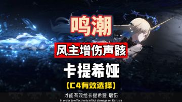 风主搭配卡提希娅，Cost4有效声骸增伤实测，鸣潮2.4攻略。