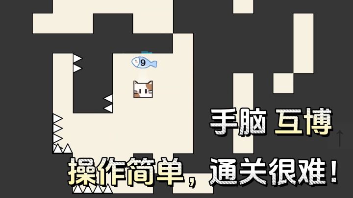 「第11关」操控猫咪闯关❗深度体验手脑互搏,通关太难了❗截图